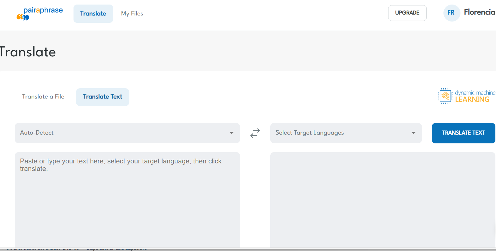 How to translate text snippets in Pairaphrase?