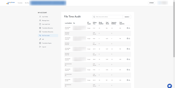 File Time Audit screen